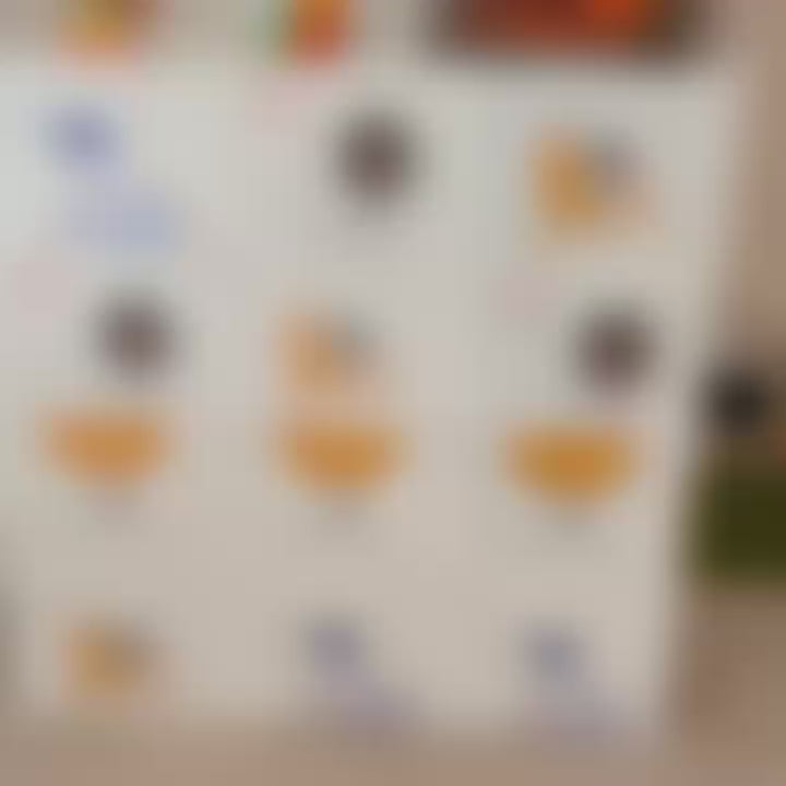 Organizador Sapateira Roupa Infantil 12 Portas Dobrável Portatil Modular