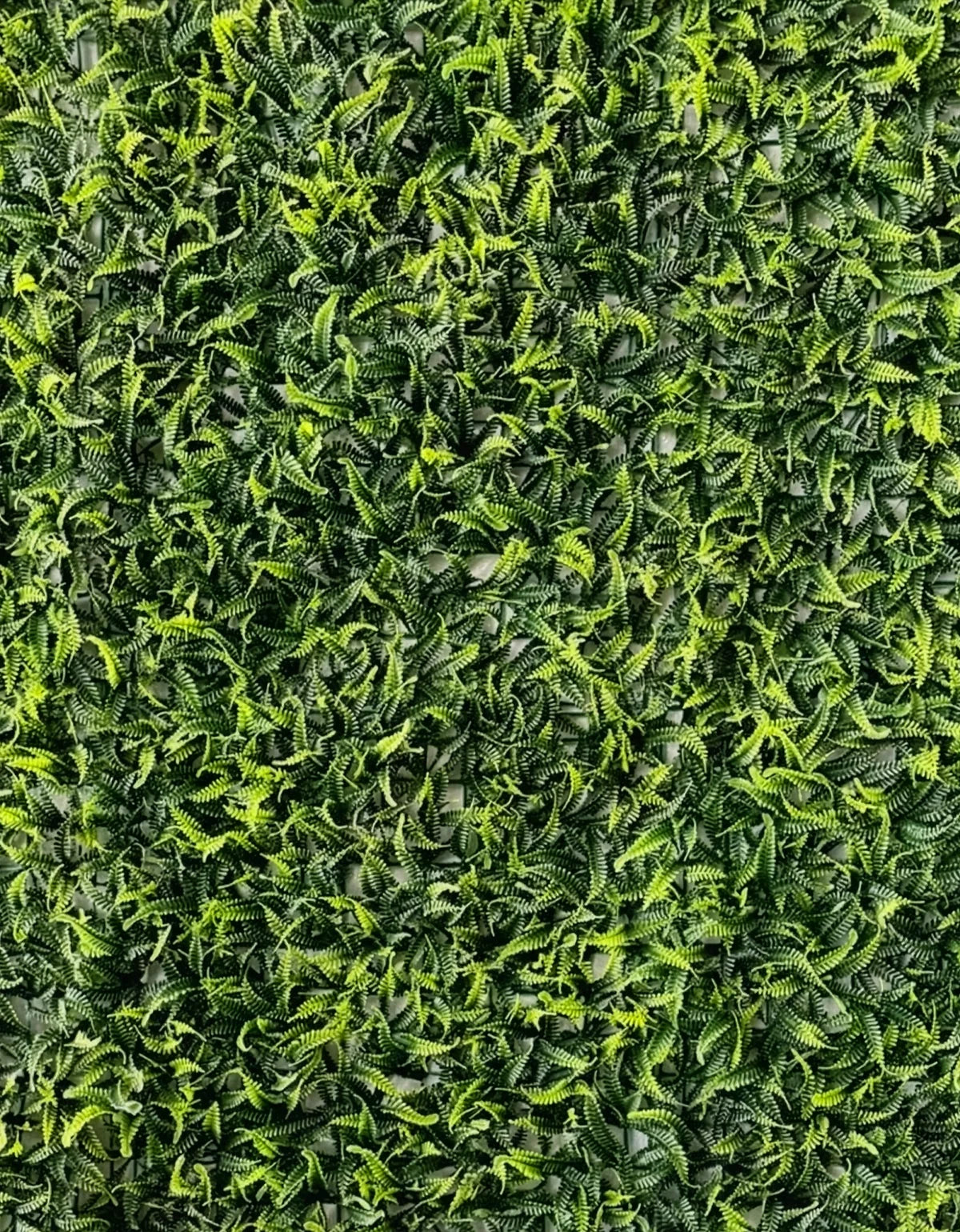 Kit 4 Placas Jardim Vertical Artificial Samambaia 60x40cm Toque Real Decoração Parede Verde